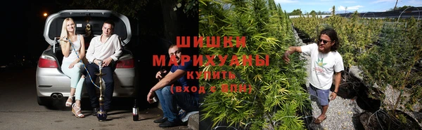 Альфа ПВП Бежецк