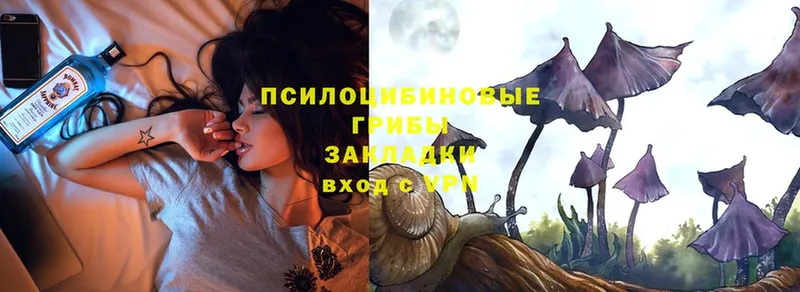 Псилоцибиновые грибы Psilocybe  mega сайт  Каневская 